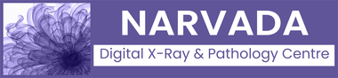 Narvada Logo